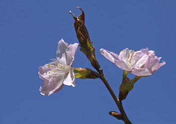 Similar image 12594351