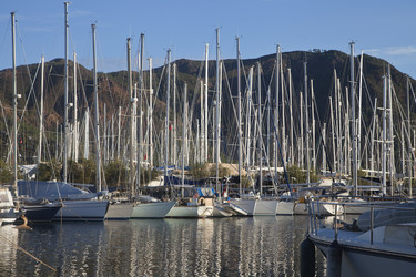 Similar image 12594579