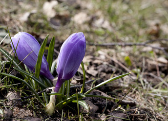 Similar image 12594565