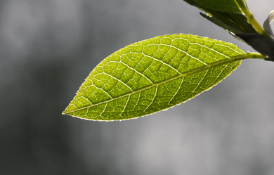 Similar image 12594587