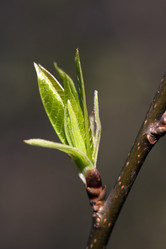 Similar image 12594589