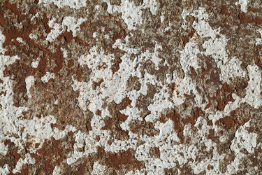 Similar image 12594593