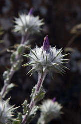 Similar image 12594672