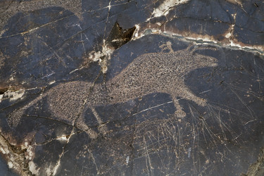 Similar image 12594675