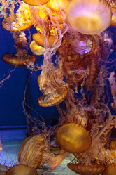 Similar image 12685945