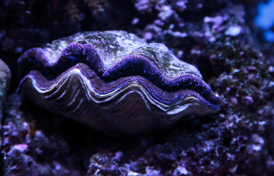 Similar image 12685946