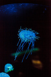 Similar image 12685854