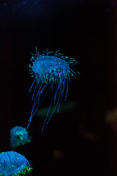 Similar image 12685879