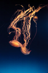 Similar image 12685882