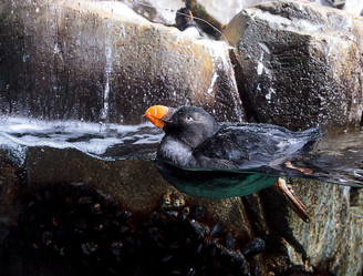 Similar image 12685885