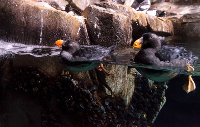 Similar image 12685886