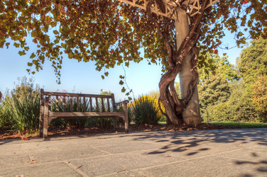 Similar image 12685905