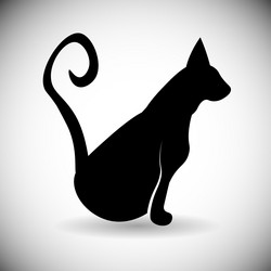 Similar image 12488882