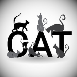 Similar image 12488985