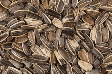 Similar image 12597378