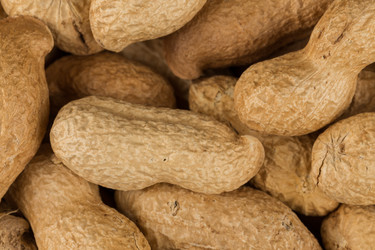 Similar image 12597379