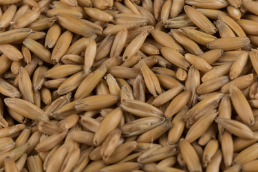 Similar image 12597399