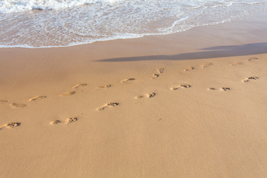 Similar image 12597458