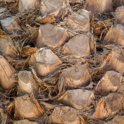 Similar image 12597476