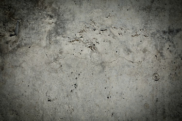 Similar image 12597259