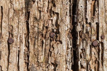 Similar image 12597321