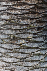 Similar image 12597322