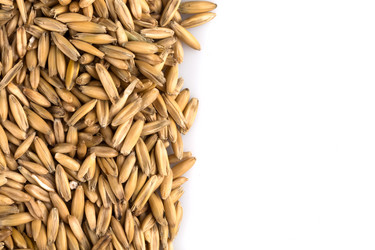 Similar image 12597343