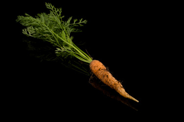 Similar image 12597363