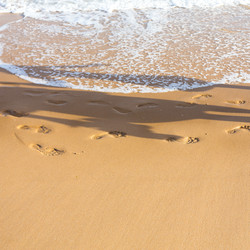 Similar image 12597382