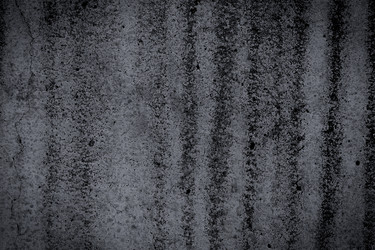 Similar image 12597423