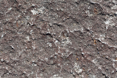 Similar image 12597478