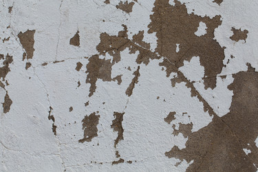 Similar image 12597404