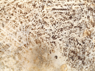 Similar image 12686952