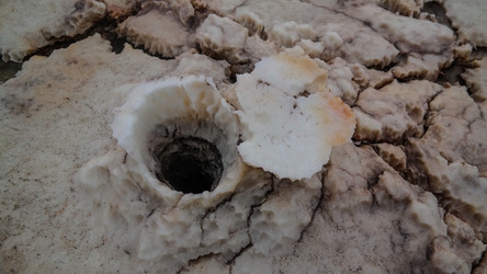 Similar image 12688414