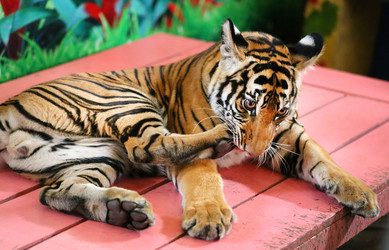 Similar image 12687070