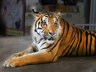 Similar image 12687073