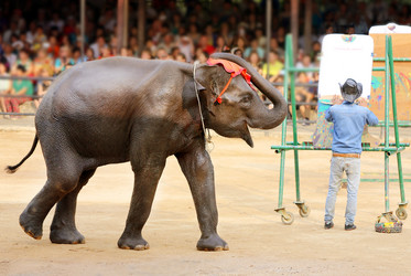 Similar image 12687105