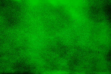 Similar image 12597142