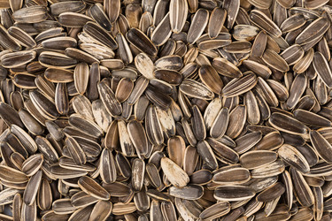 Similar image 12597181