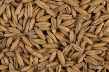 Similar image 12597204