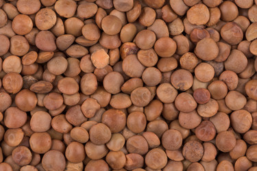 Similar image 12597242