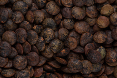 Similar image 12597345