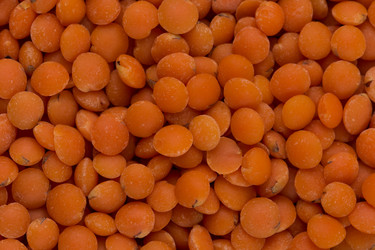 Similar image 12597347