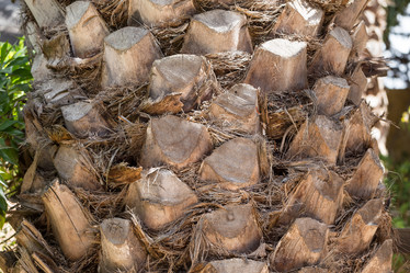 Similar image 12597366