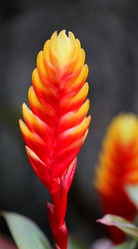 Similar image 12687058