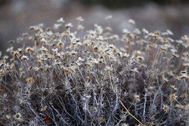 Similar image 12687075