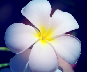 Similar image 12686954