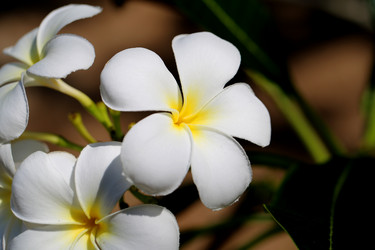 Similar image 12686955