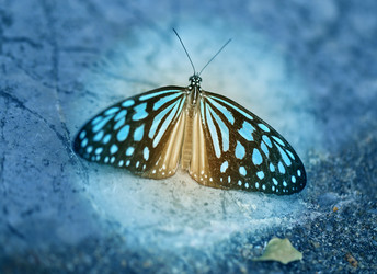 Similar image 12687008