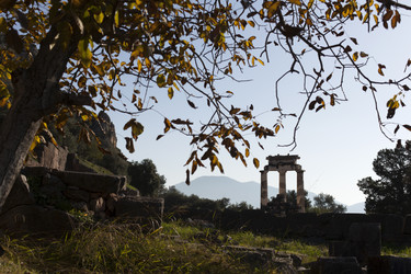 Similar image 12453795